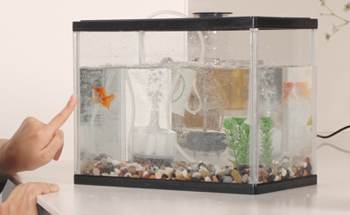 水替えの適正な水量 水替えの適正な水量