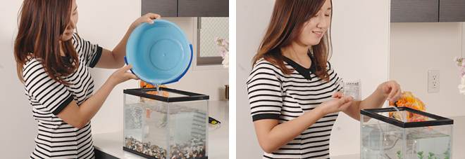 水槽に水とカルキ抜き剤を入れて数時間循環させる 水槽に水とカルキ抜き剤を入れて数時間循環させる