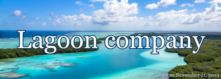 オーダーメイドアクリル水槽 Lagoon company オーダーメイドアクリル水槽 Lagoon company