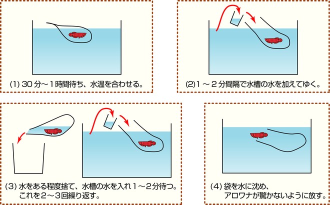 水合わせ手順