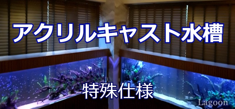 特殊水槽