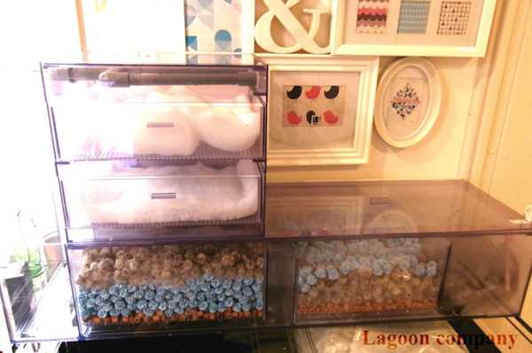 濾過槽 - Lagoon company