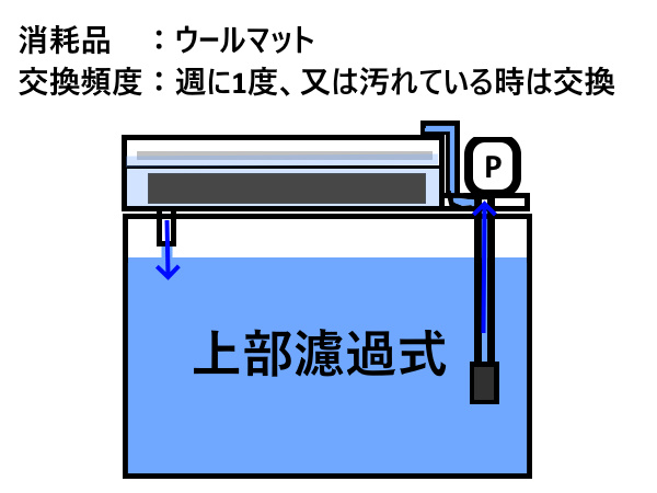 上部濾過槽