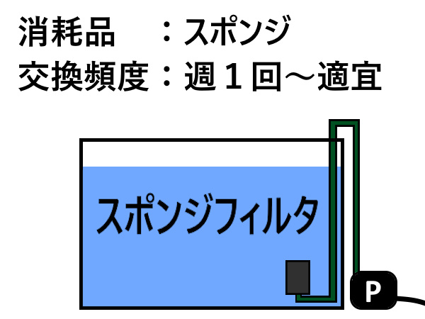 スポンジ