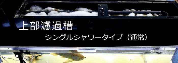 濾過槽 - Lagoon company