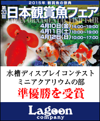 日本観賞魚フェア2015 水槽ディスプレイコンテスト ミニアクアリウムの部 準優勝を受賞