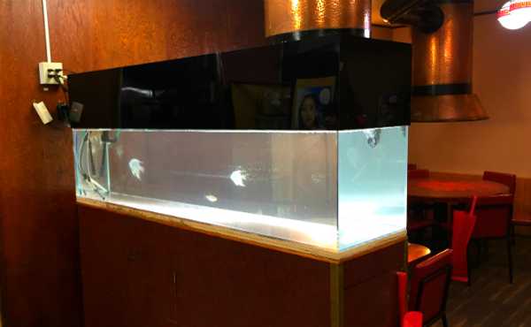 武蔵野市吉祥寺