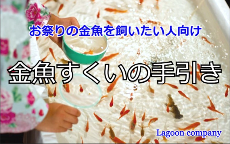 お祭り、金魚すくい、水槽セット