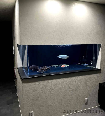 埋め込み水槽 埋め込み水槽
