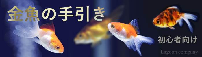 生き物を大事に飼おう 生き物を大事に飼おう