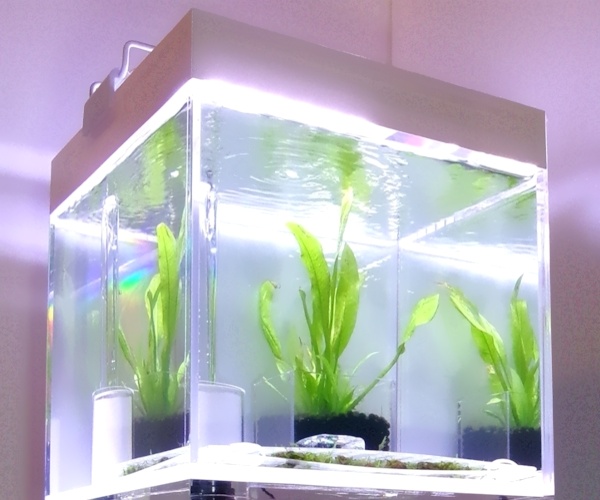 押出し板水槽