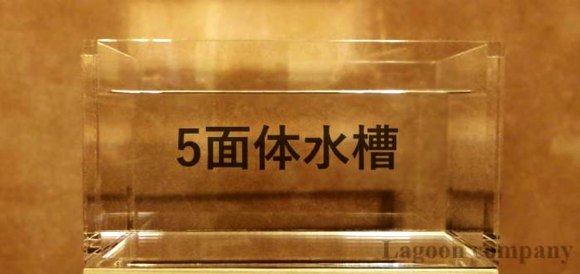 5面体水槽も製作可能