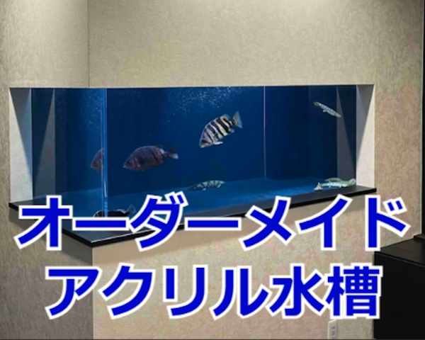 オーダーアクリル水槽 オーダーアクリル水槽