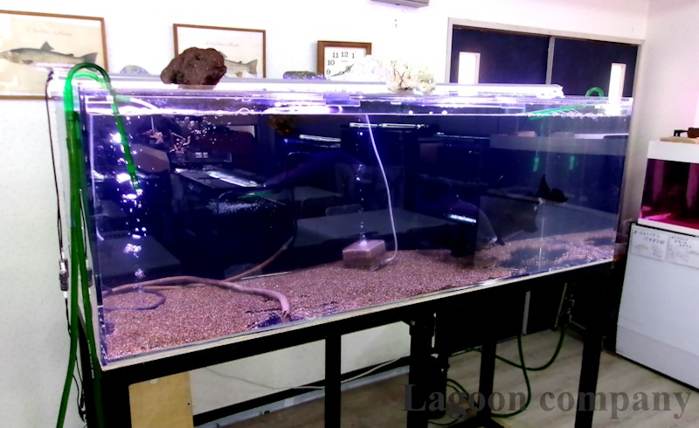 さいたま市 埼玉動物海洋専門学校