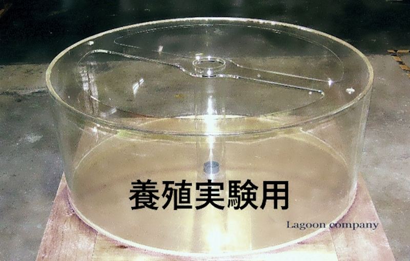 円柱養殖水槽